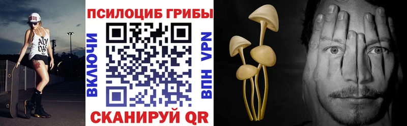 Галлюциногенные грибы мицелий  Ковылкино 
